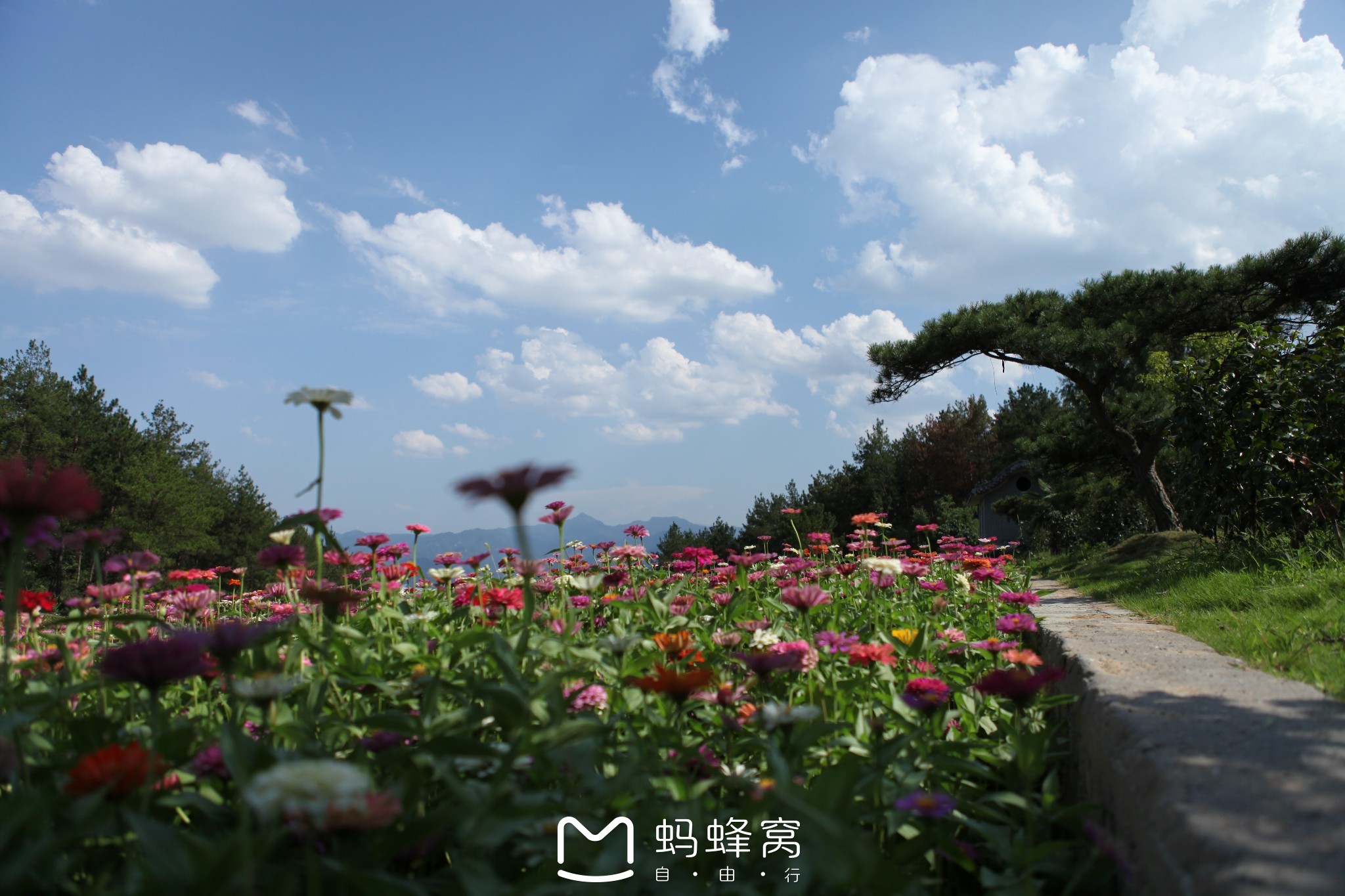 十堰市 张湾区 花果山     