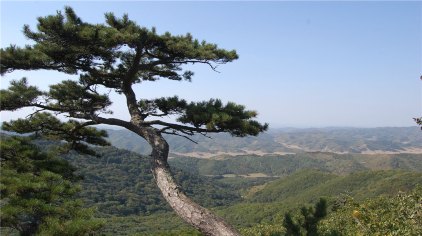 铁岭城子山风景区门票