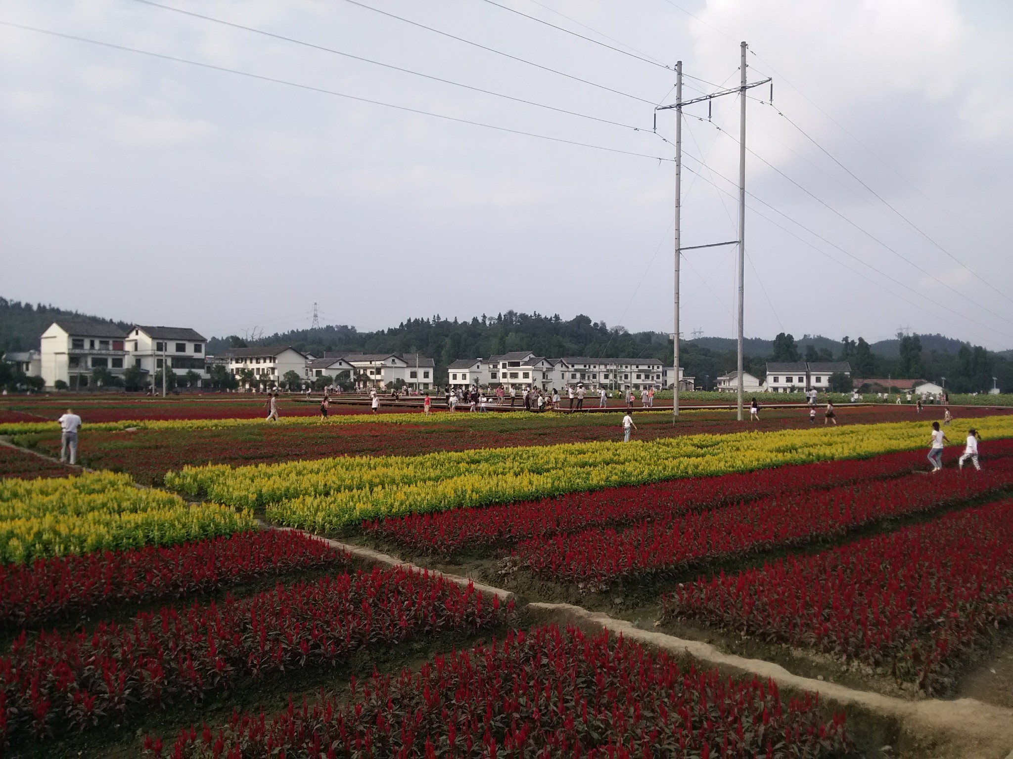 郴州乡村游之三合村一日游