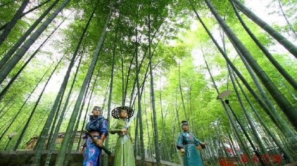 重庆茶山竹海门票