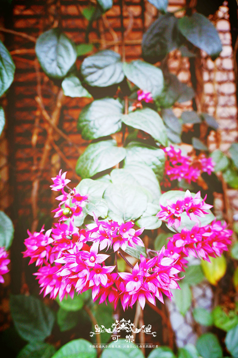 北投温泉,台北旅游攻略