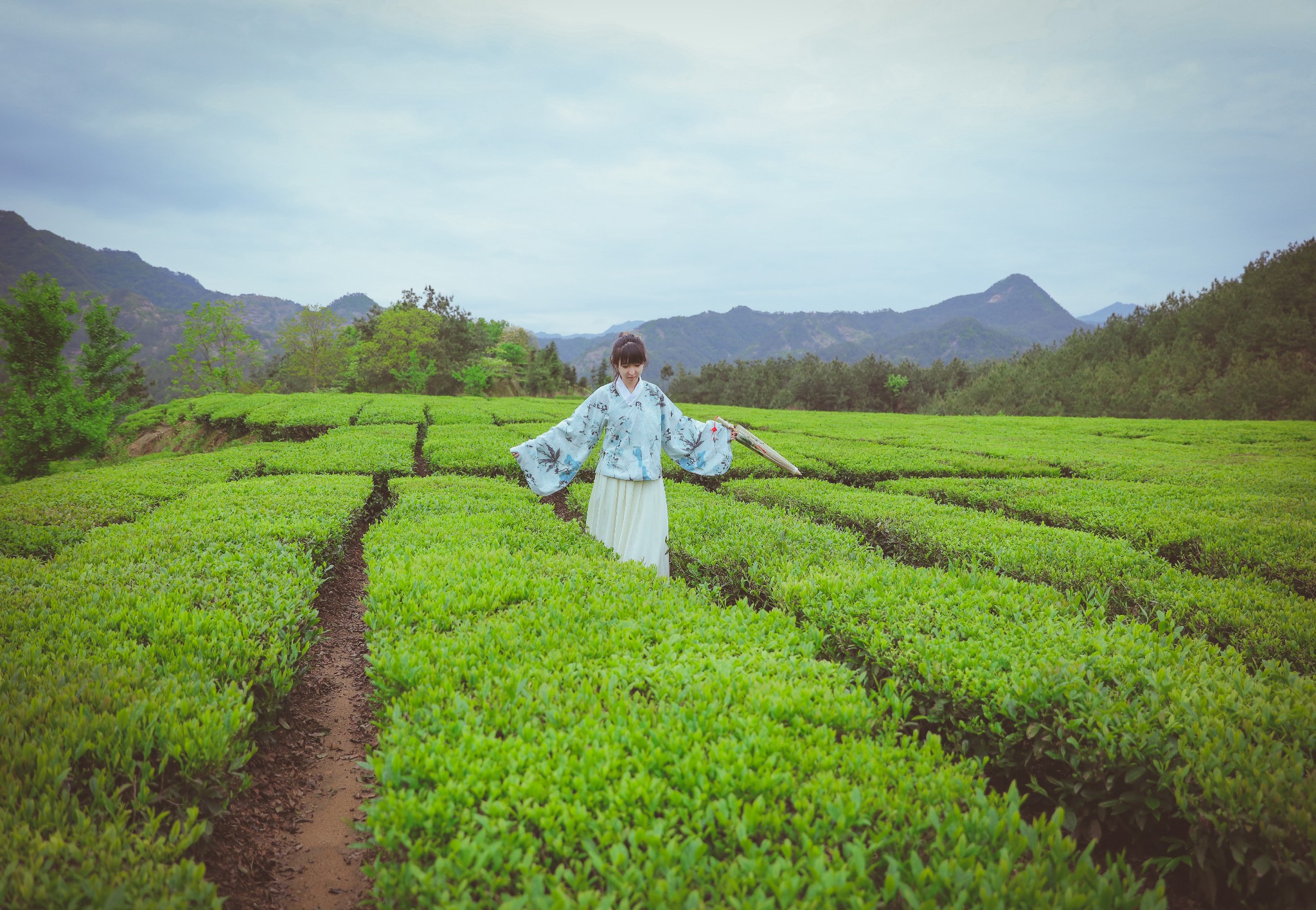 畅游"茶乡" —— 达人自驾游英山