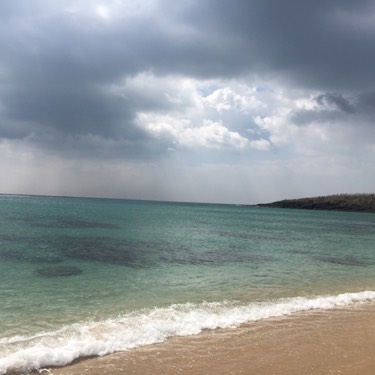 蟹道乐(道顿堀本店)