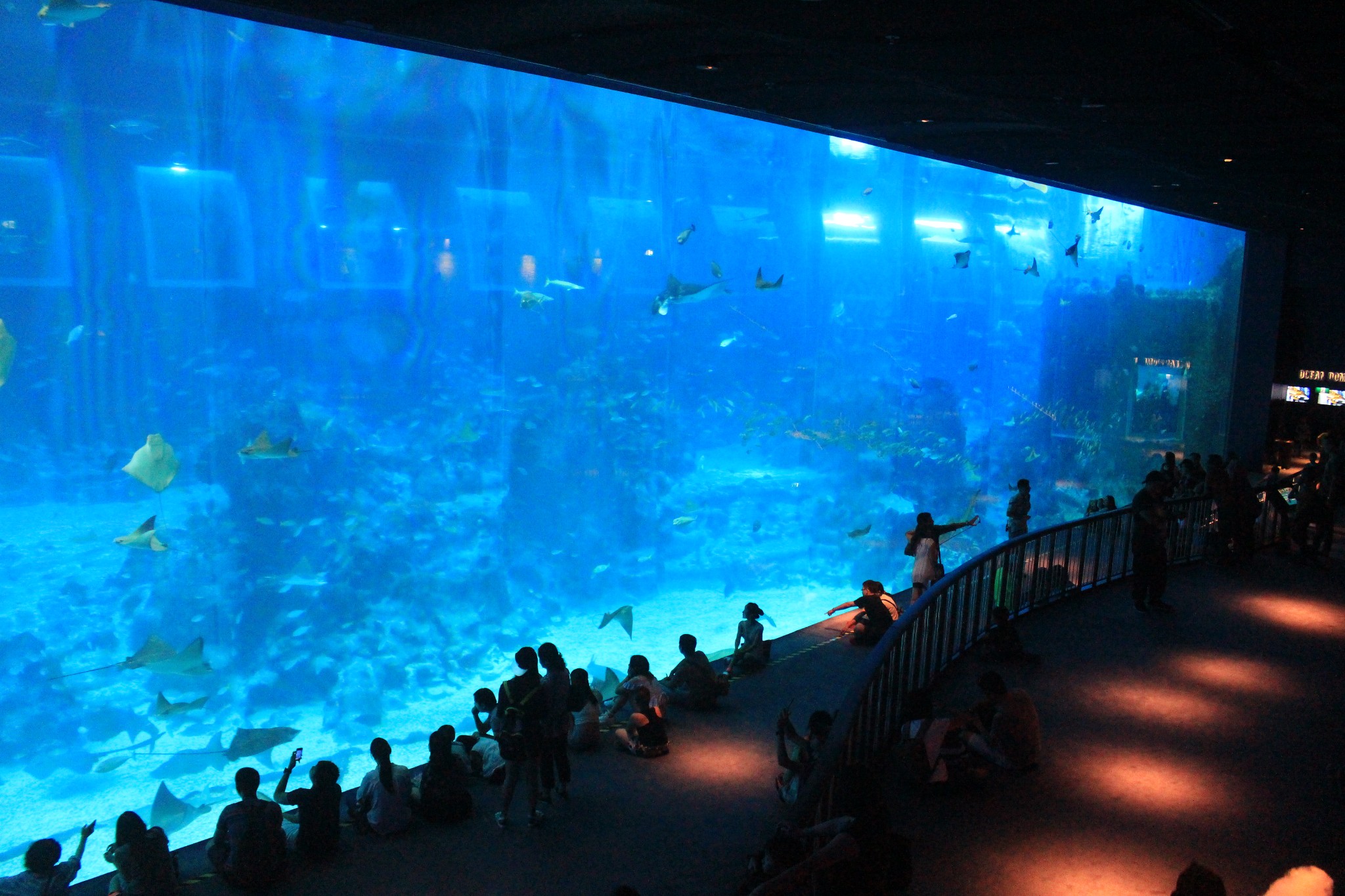 新加坡酒店_新加坡旅游景点_新加坡收入消费