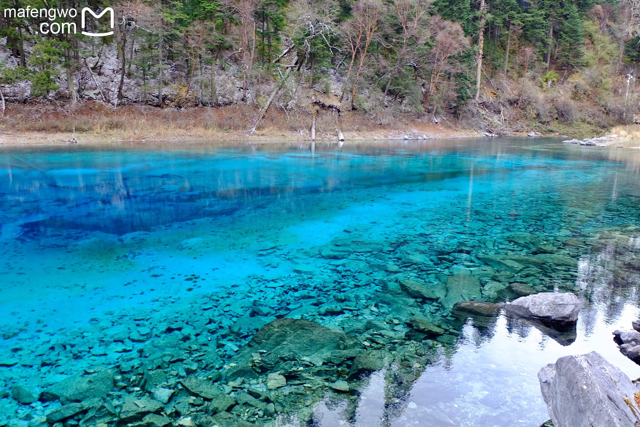 四川九寨沟县GDP收入_四川九寨沟县野花图片(2)