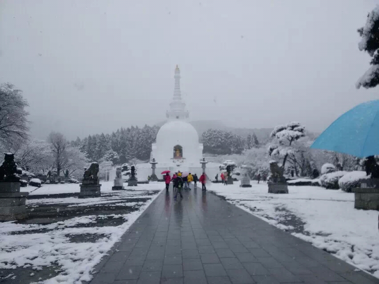 舍利白塔雪景