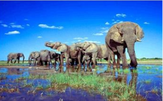 北京送签 全国受理】纳米比亚旅游签证(拒签全