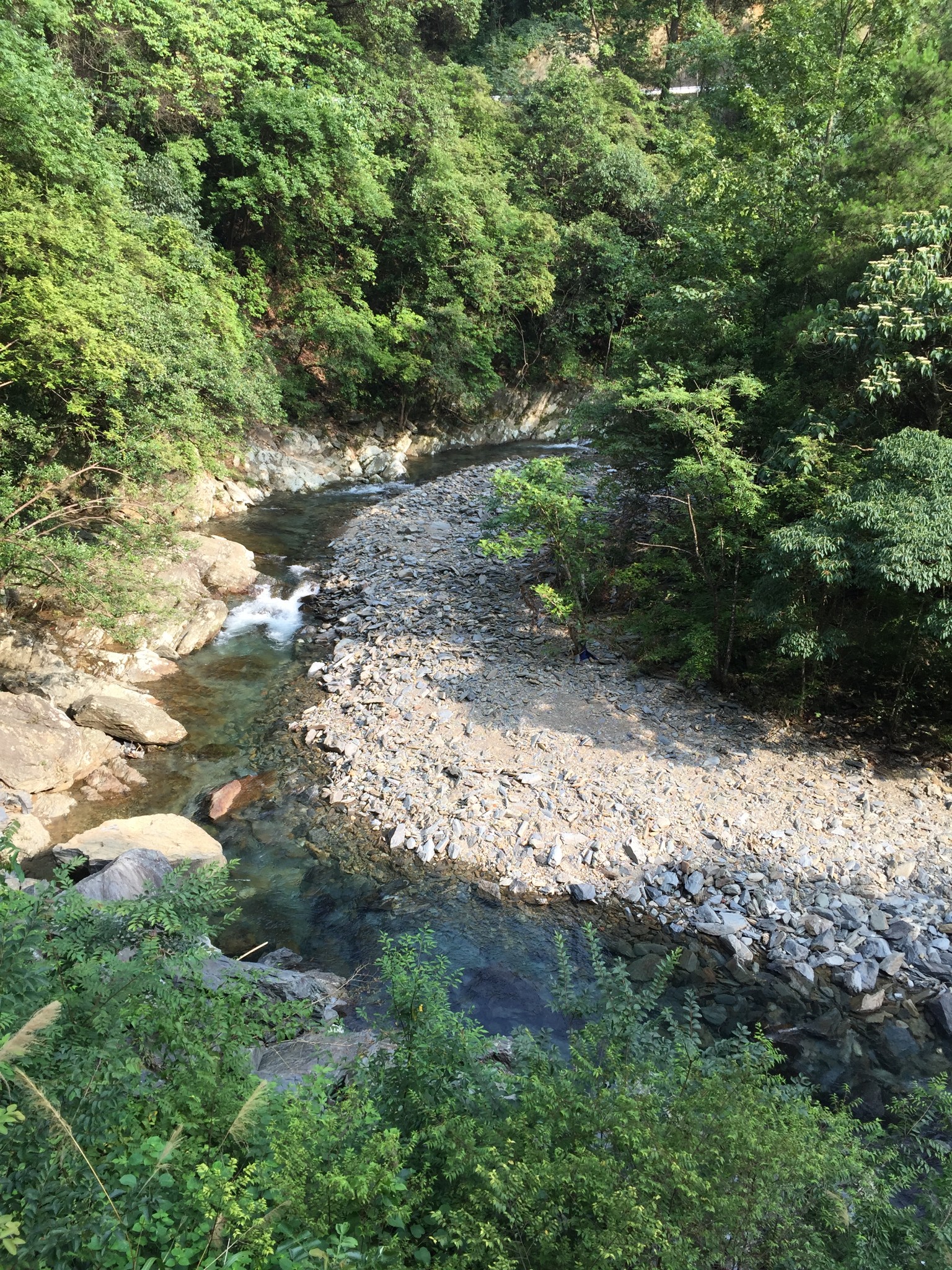 探幽绿色深山——平江芦头森林生态游