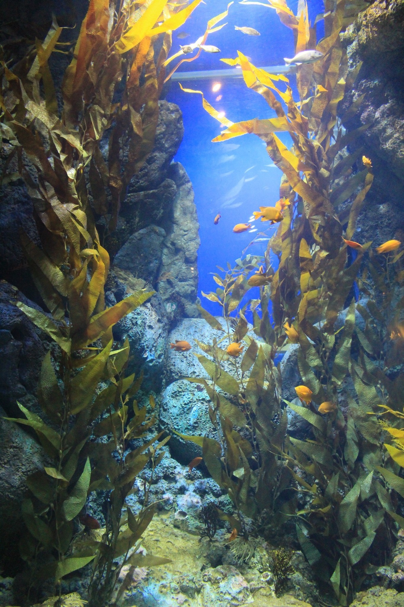 新加坡酒店_新加坡旅游景点_新加坡收入消费