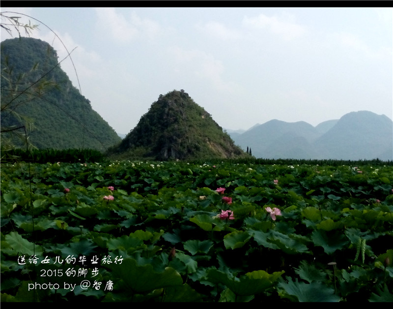 去买一桶泡面算贡献gdp吗_吃一桶泡面增重多少(2)