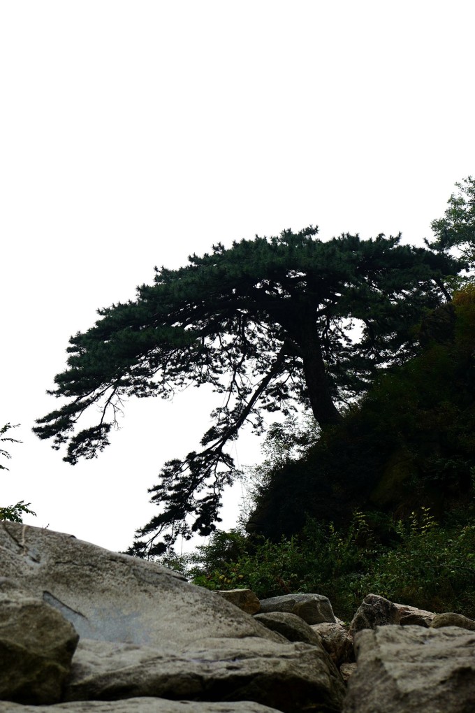 从泰山脚徒步爬到泰山顶需要多少时间?