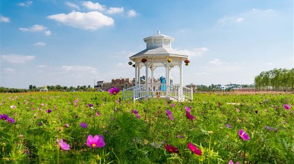 临沂龙园休闲度假山庄门票