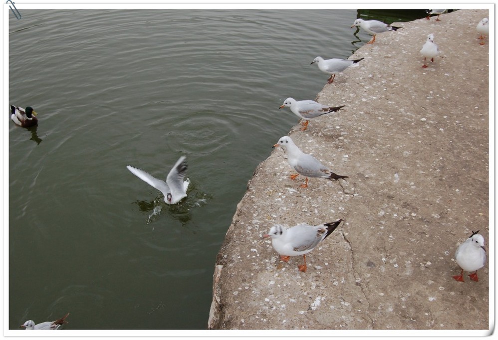 wKgBm04YZwColU2pAAJi8yBjZAo08.jpeg?imageView2%2F2%2Fw%2F600%2Fh%2F600%2Fq%2F90