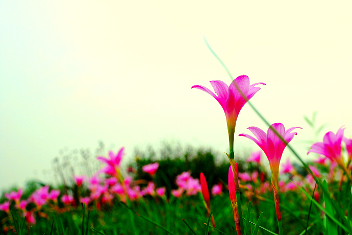 wKgBm04T9R-bmetHAALbbF-JFCQ10.jpeg?imageView2%2F2%2Fw%2F600%2Fh%2F600%2Fq%2F90