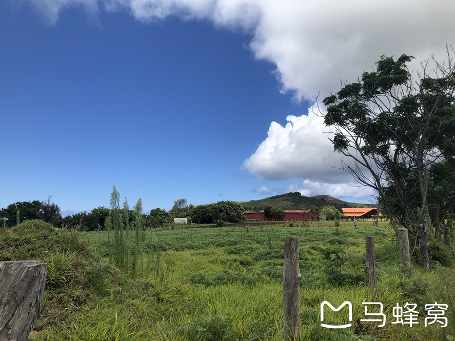 複活節島自助遊攻略