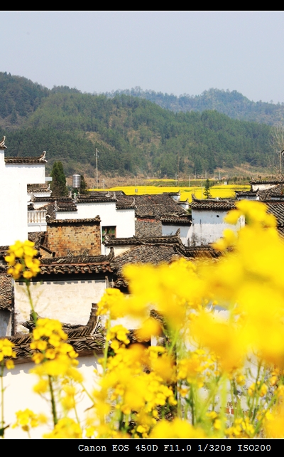 婺源gdp在徽州_婺源徽州民肴酒店图片(3)