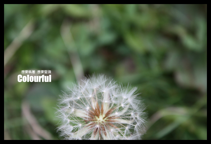 wKgBm037e7WJySFhAAPmaTCOhHc69.jpeg?imageView2%2F2%2Fw%2F600%2Fh%2F600%2Fq%2F90