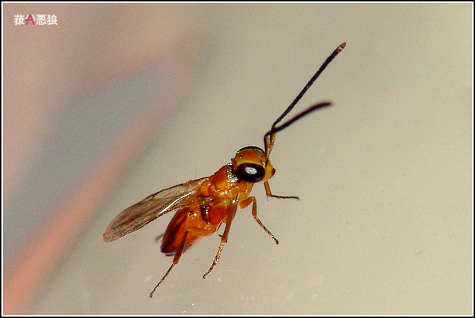 wKgBm03dBUi2wP7OAAMl8itswr050.jpeg?imageView2%2F2%2Fw%2F600%2Fq%2F90%7CimageMogr2%2Fstrip%2Fquality%2F90