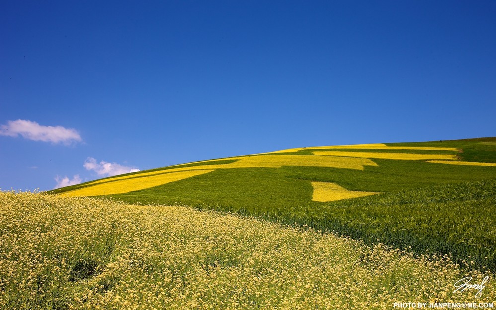 wKgBm07QvVLb0q1ZAAMEkN1q5Po61.jpeg?imageView2%2F2%2Fw%2F680%2Fq%2F90