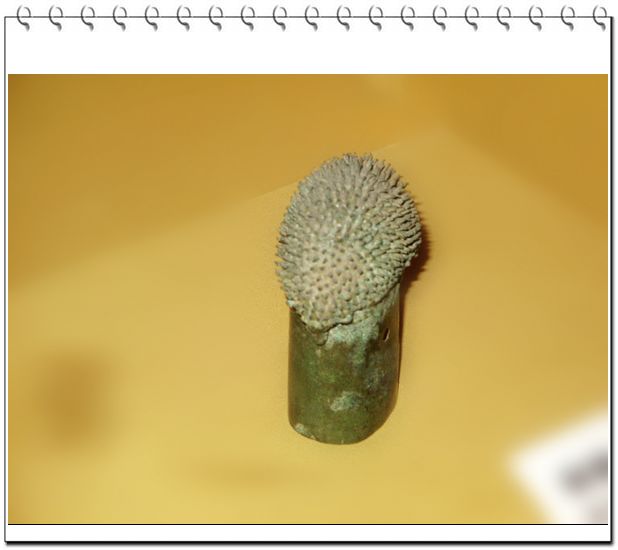 贯虱什么扬成语_床虱咬了擦什么药止痒(2)