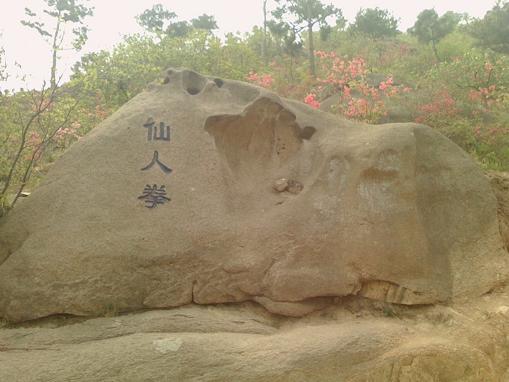 大珠山人口_大珠山杜鹃花图片