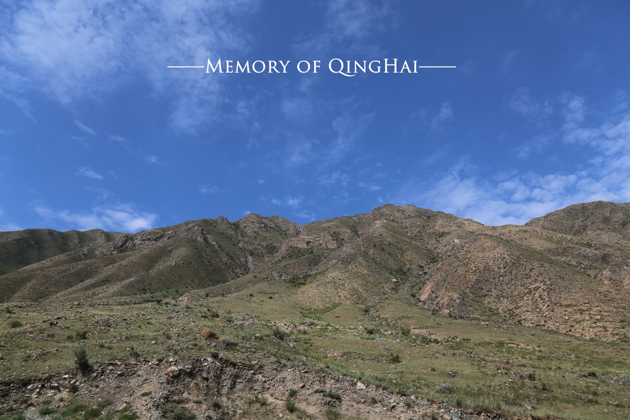 白云区各个街道GDP_白云区京溪街道姜桂根(3)