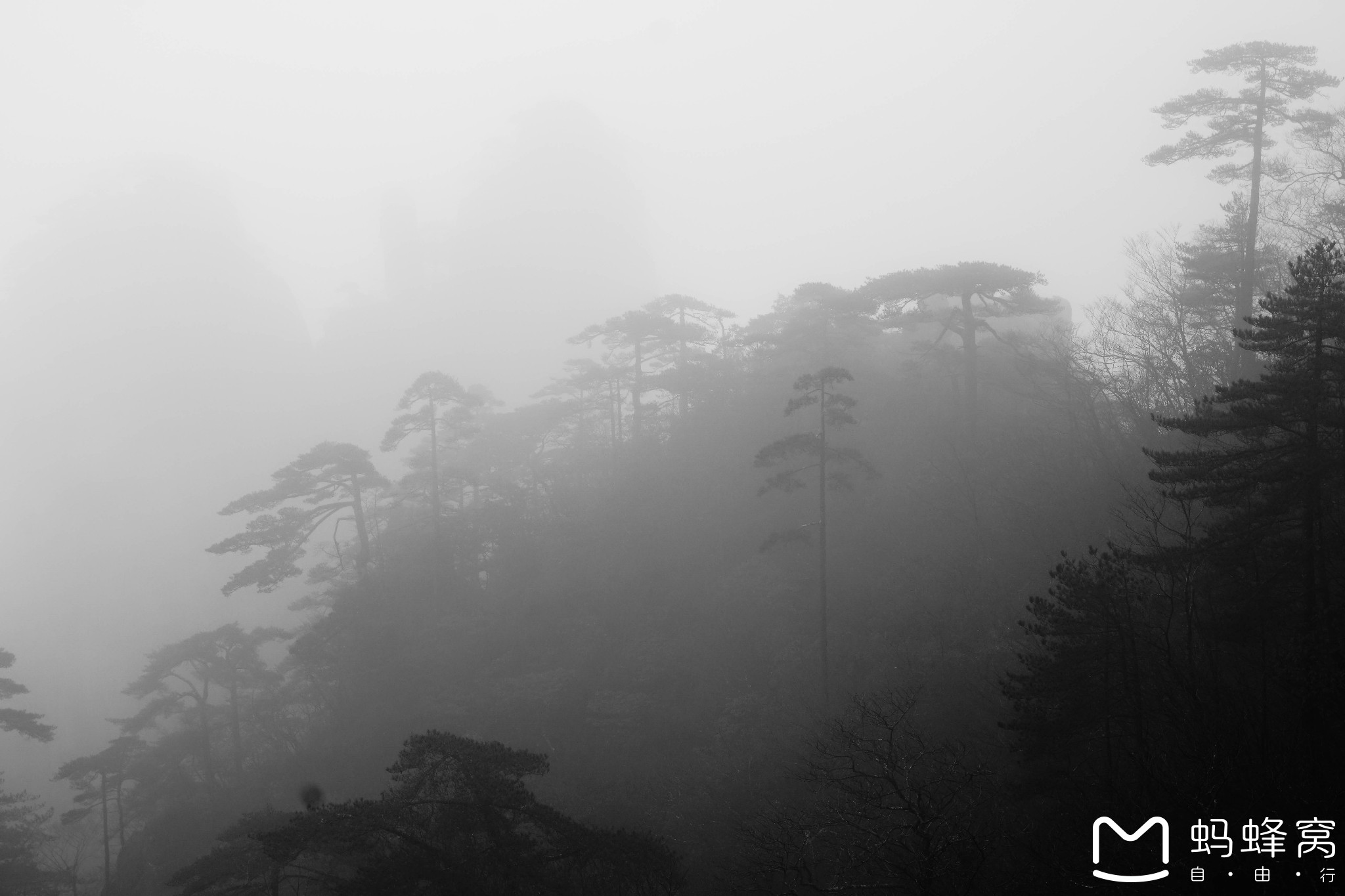 黃山自助遊攻略