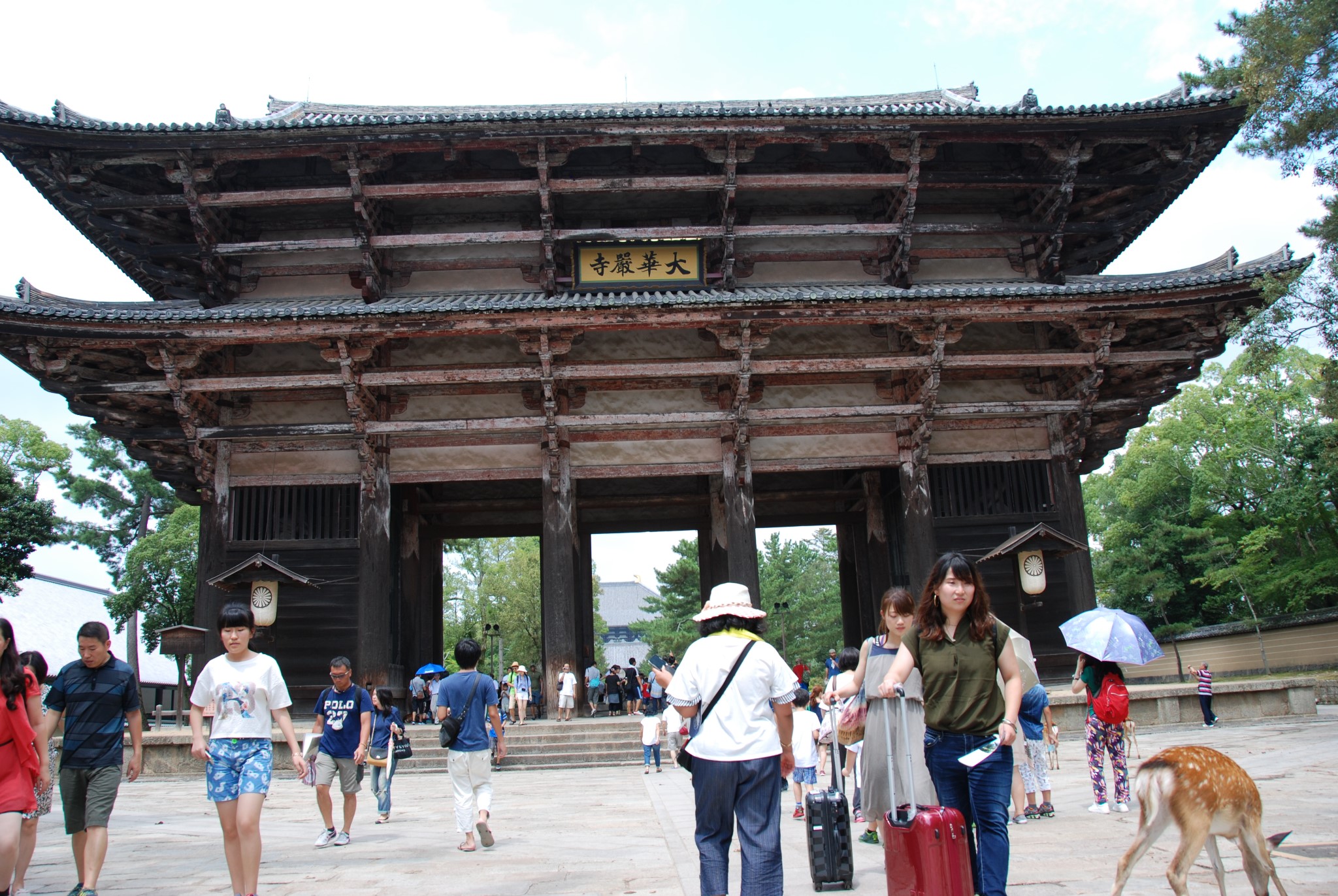 京都自助遊攻略