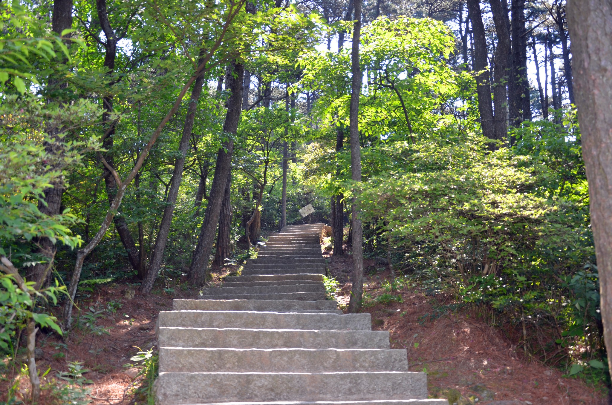 廬山自助遊攻略