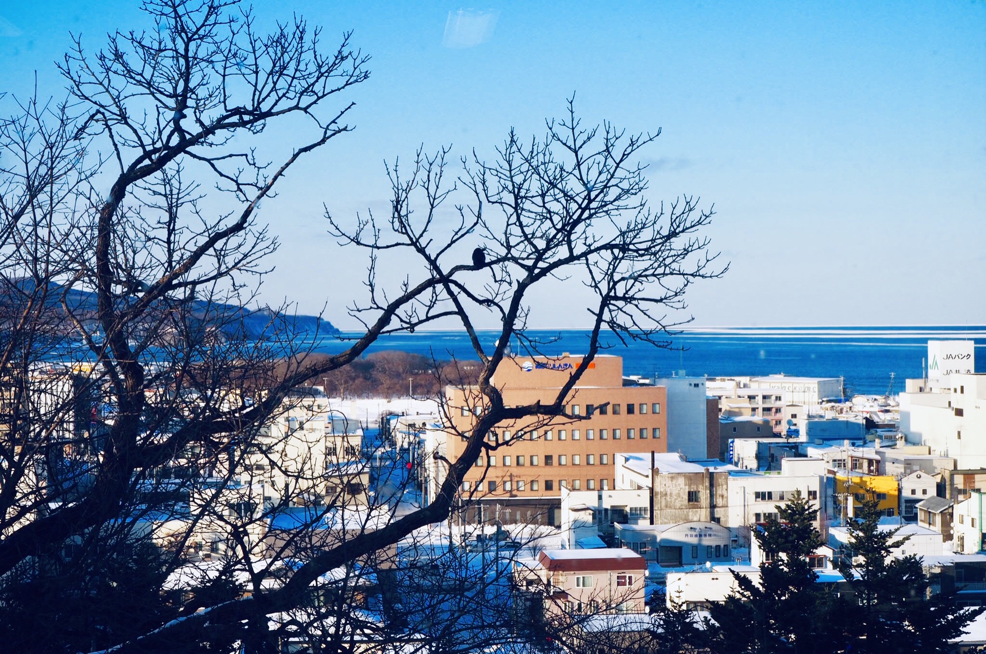 北海道自助遊攻略