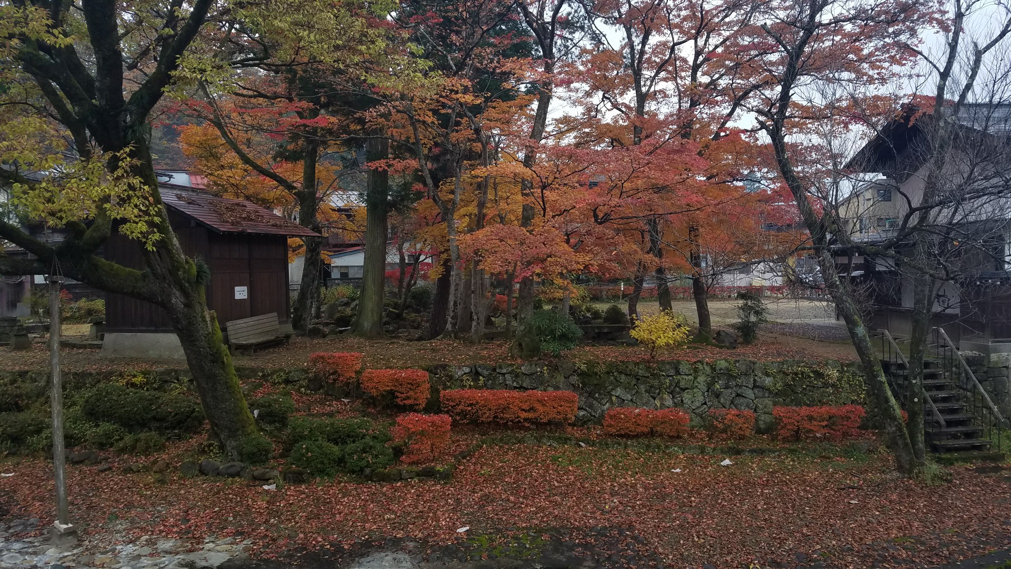 名古屋自助遊攻略