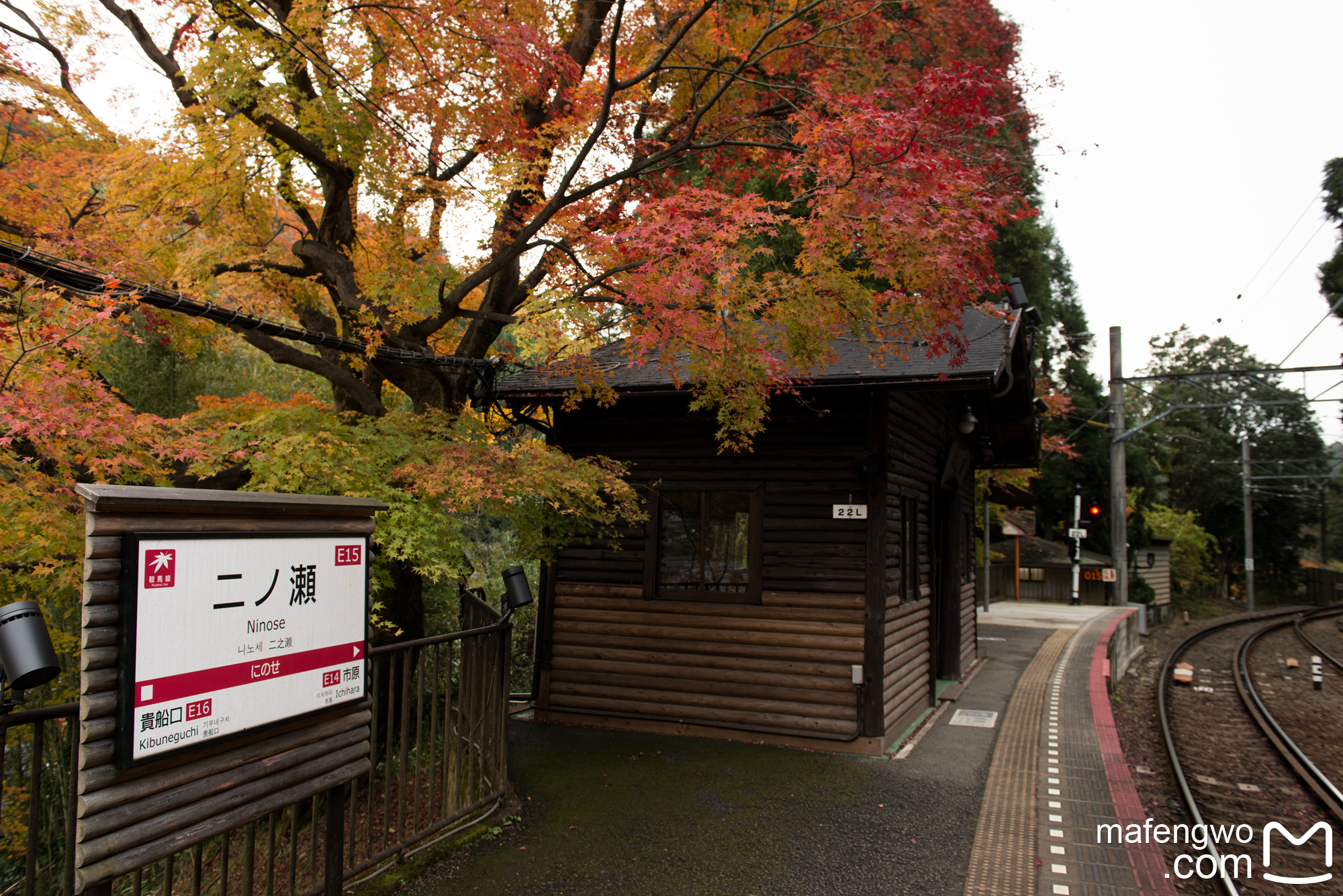 京都自助遊攻略