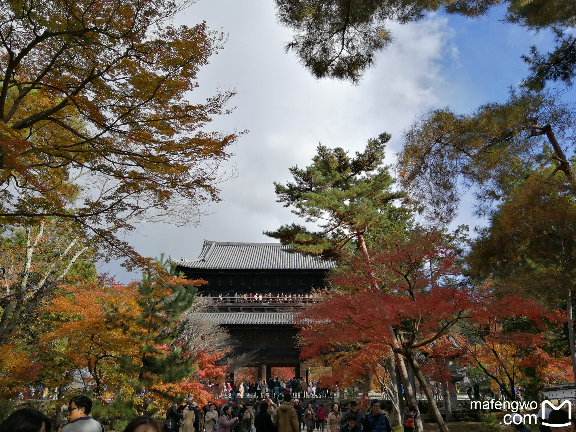 京都自助遊攻略