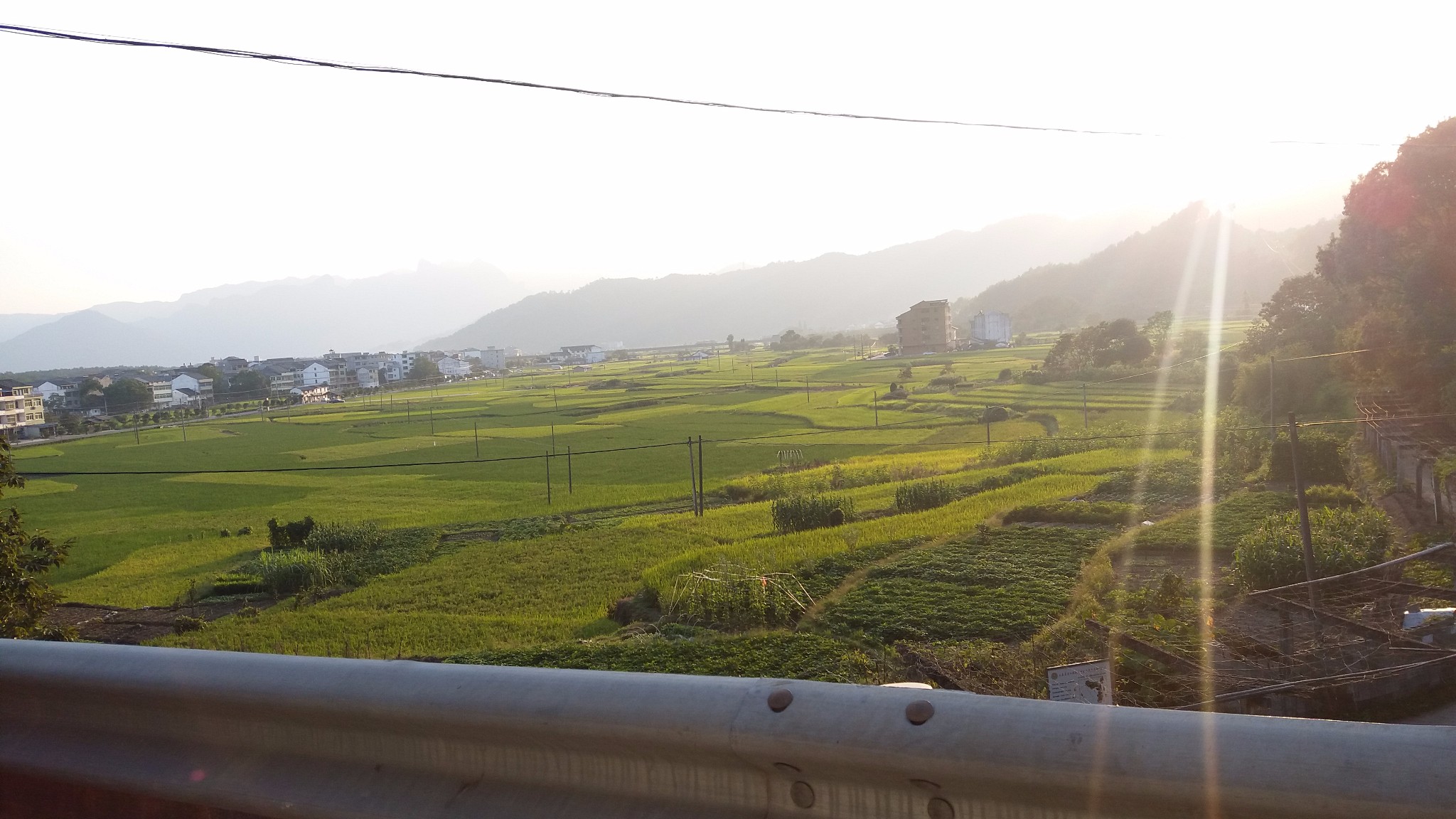 林苍村人口_人口普查(2)