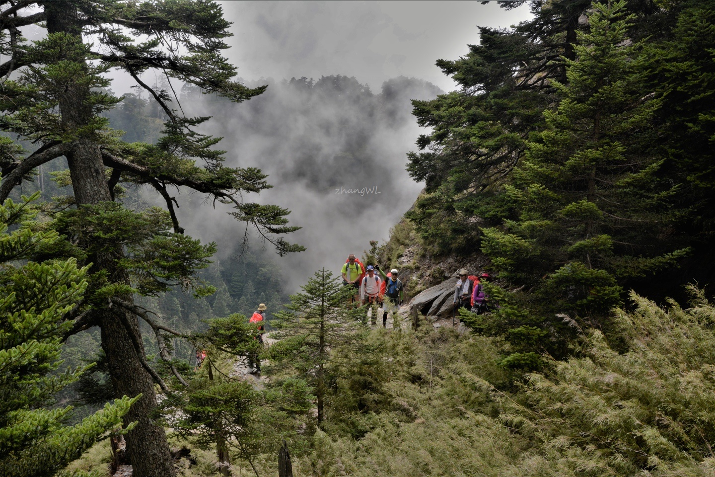 玉山有多少人口_台湾阿里山我来了 眼前的景色真是太美啦