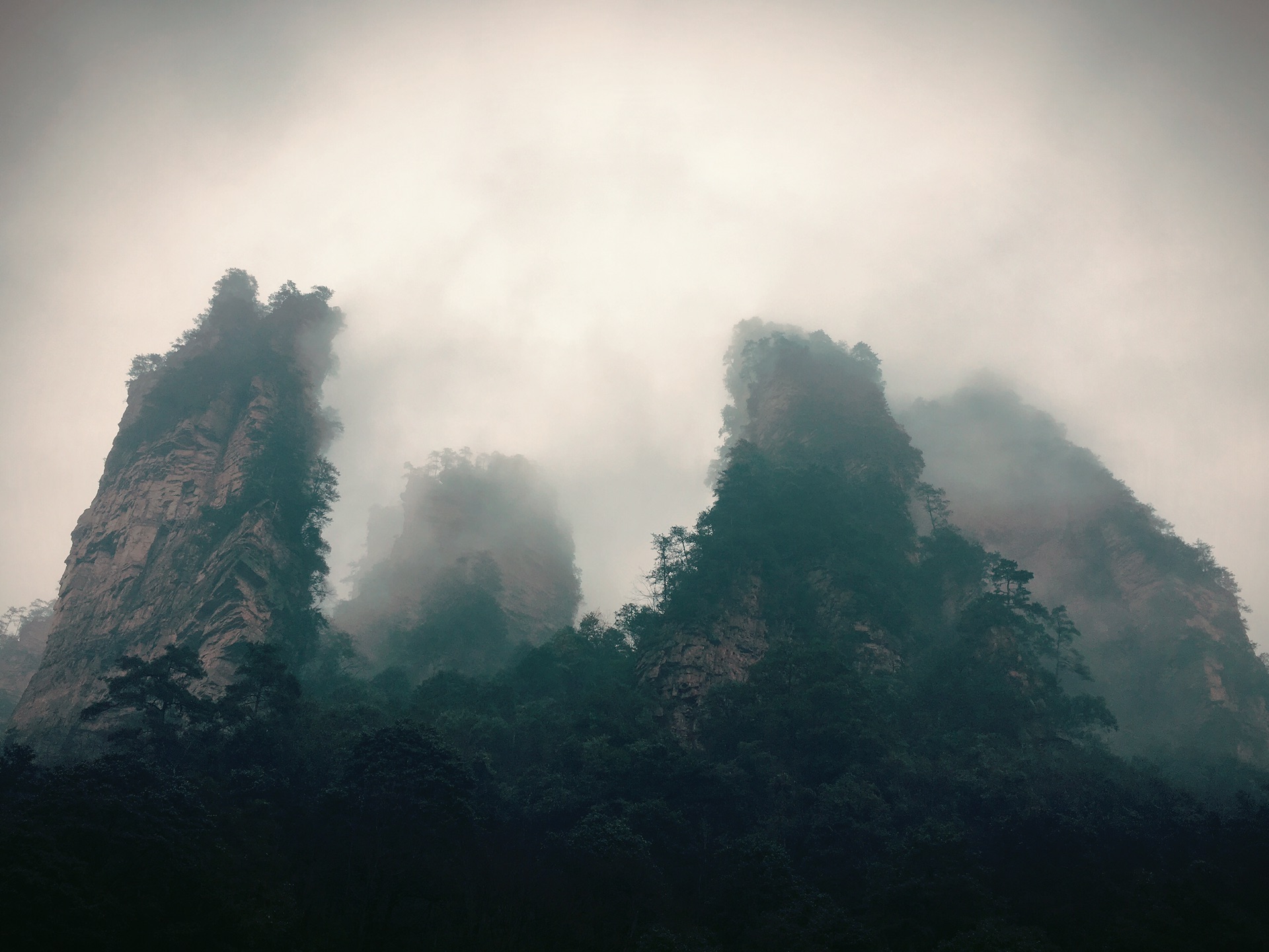 源陵多少人口_夏朝有多少人口