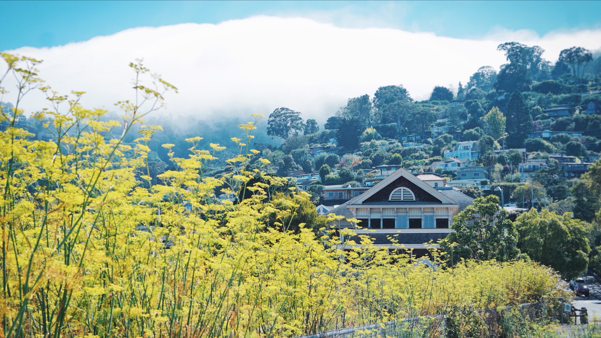 舊金山自助遊攻略