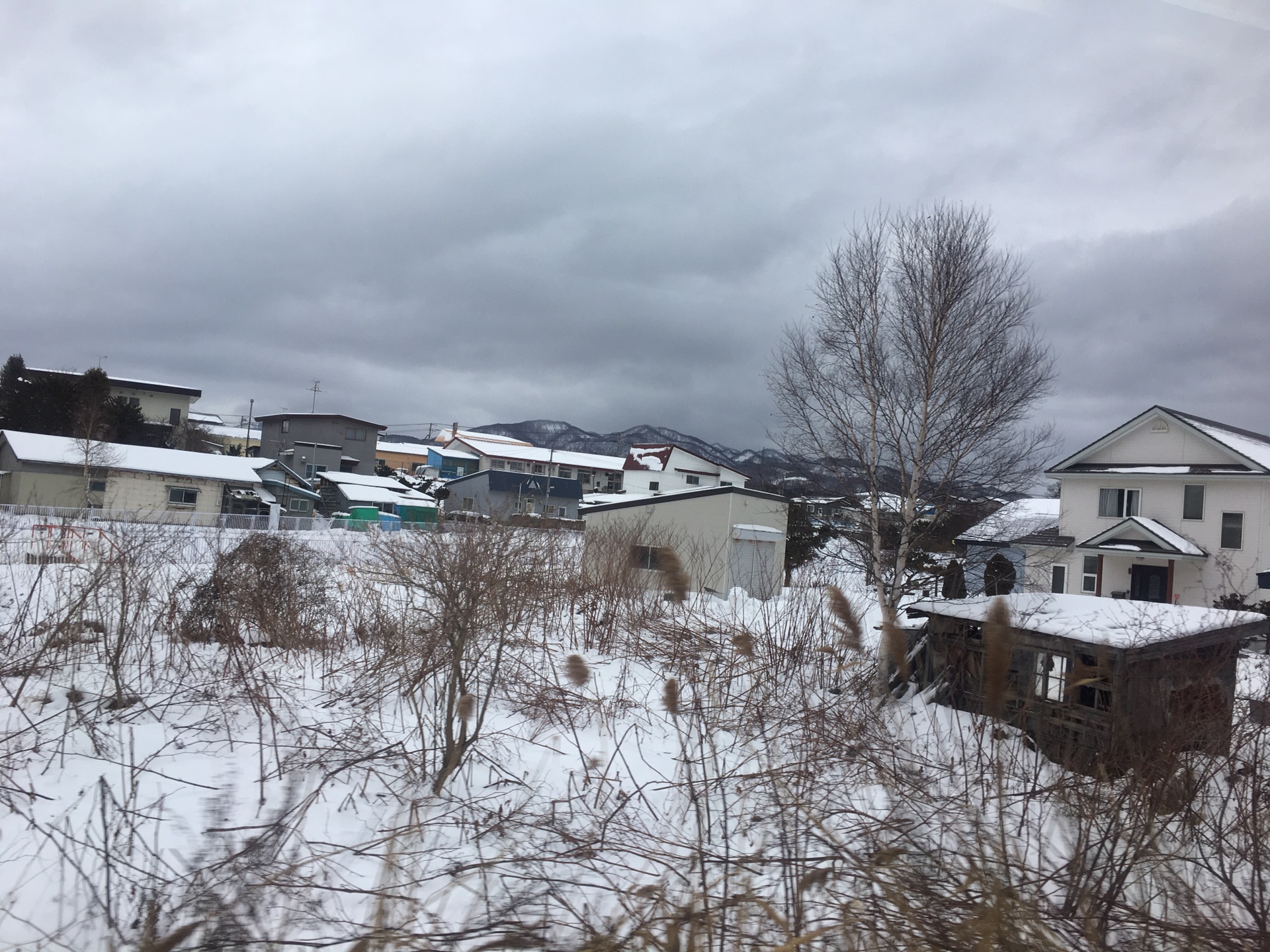 北海道自助遊攻略