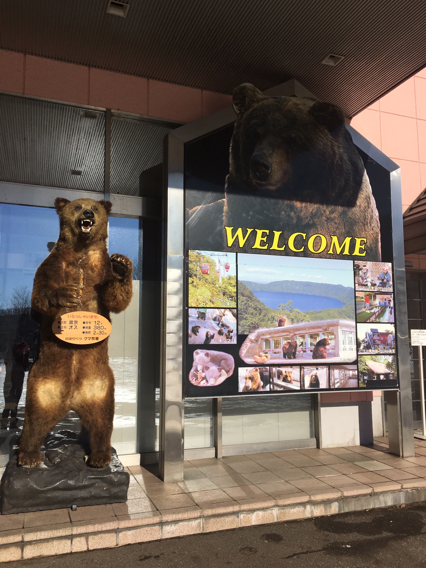 北海道自助遊攻略