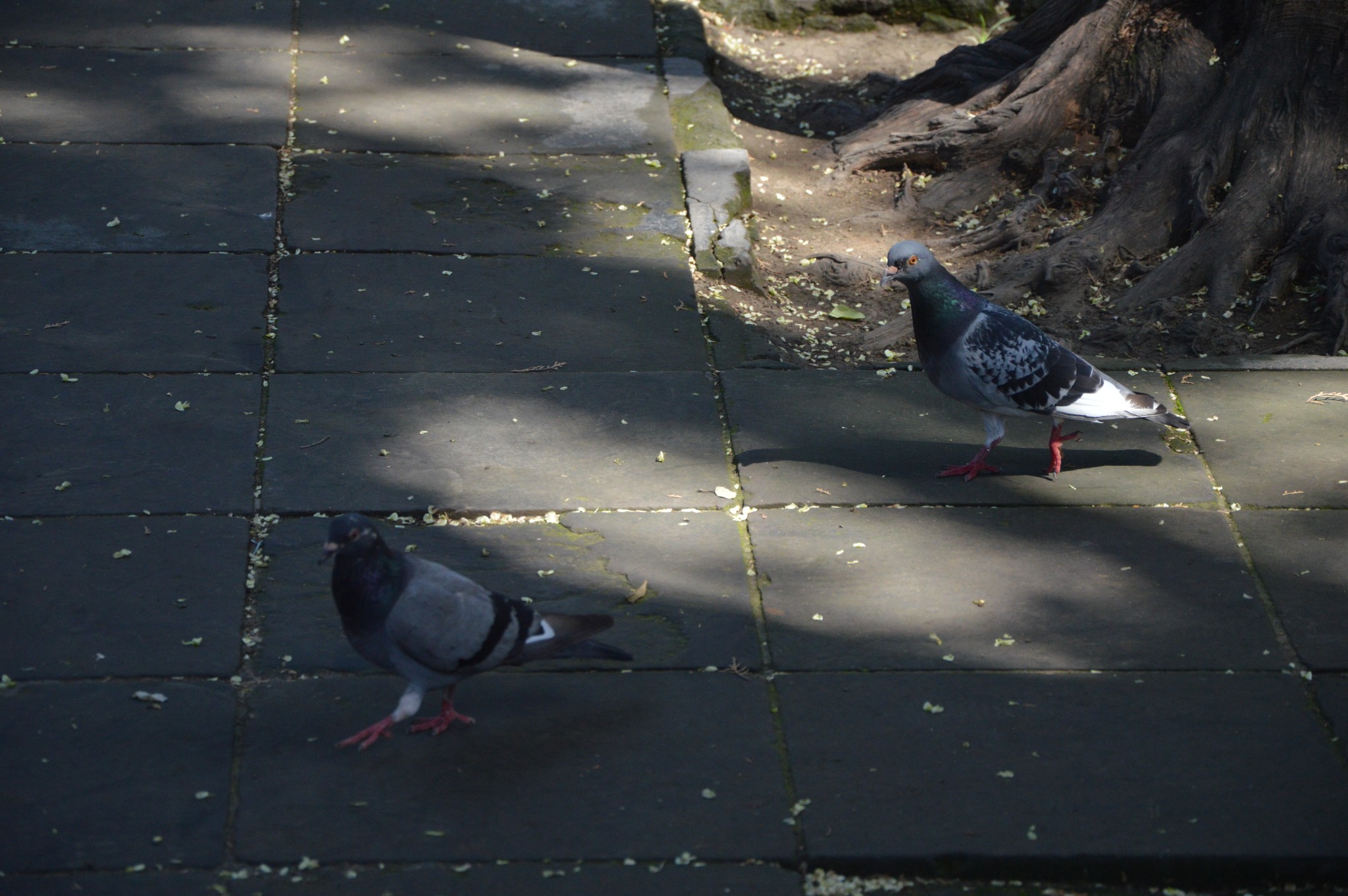 开封gdp历年_开封各县gdp(3)