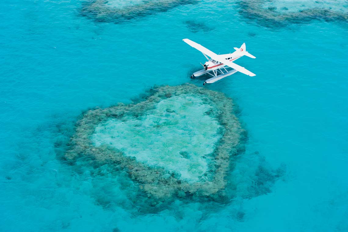 看大堡礁，去热情的凯恩斯还是浪漫的汉密尔顿岛？