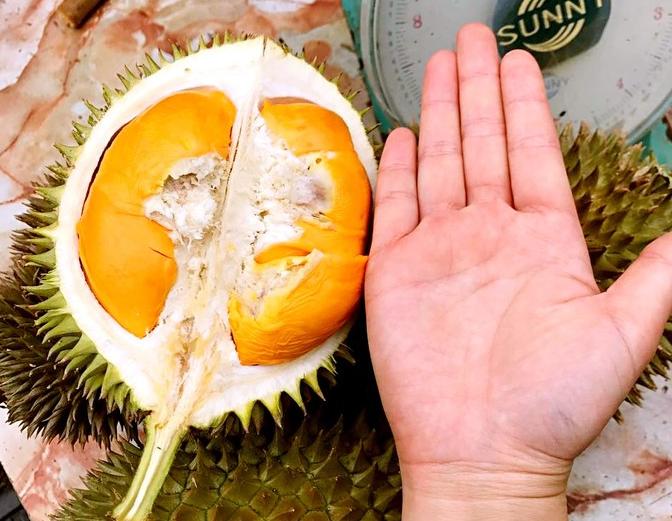 wKgBZ1nJv8qABkjMAADzodDwX8435.jpeg?imageView2%2F2%2Fw%2F680%2Fq%2F90