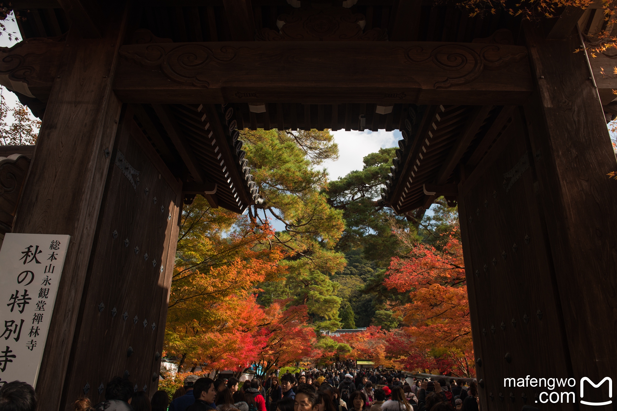 京都自助遊攻略