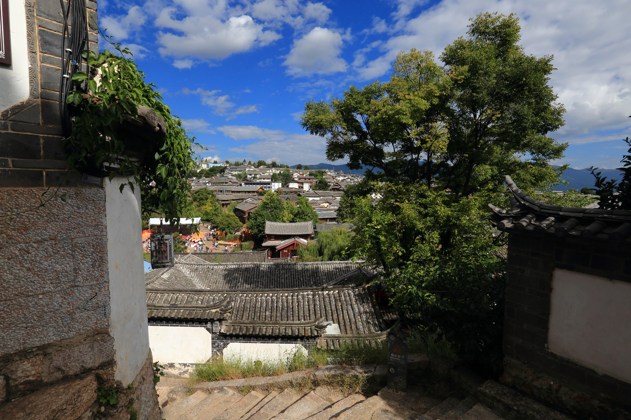 雨崩自助遊攻略