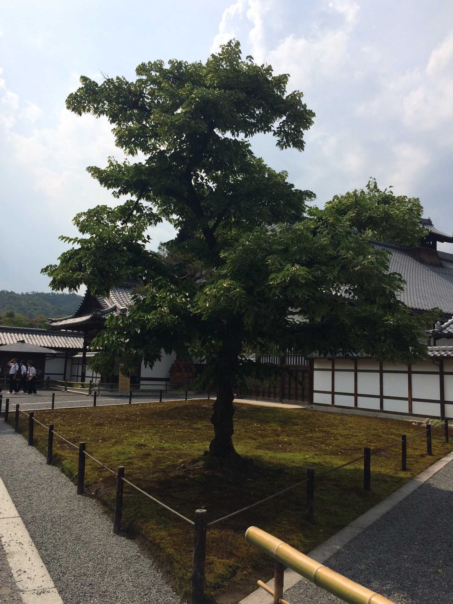 京都自助遊攻略