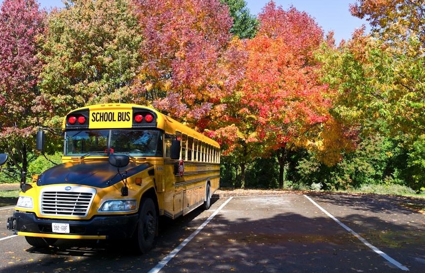 加拿大 尼亚加拉大瀑布一日游(多伦多出发+中