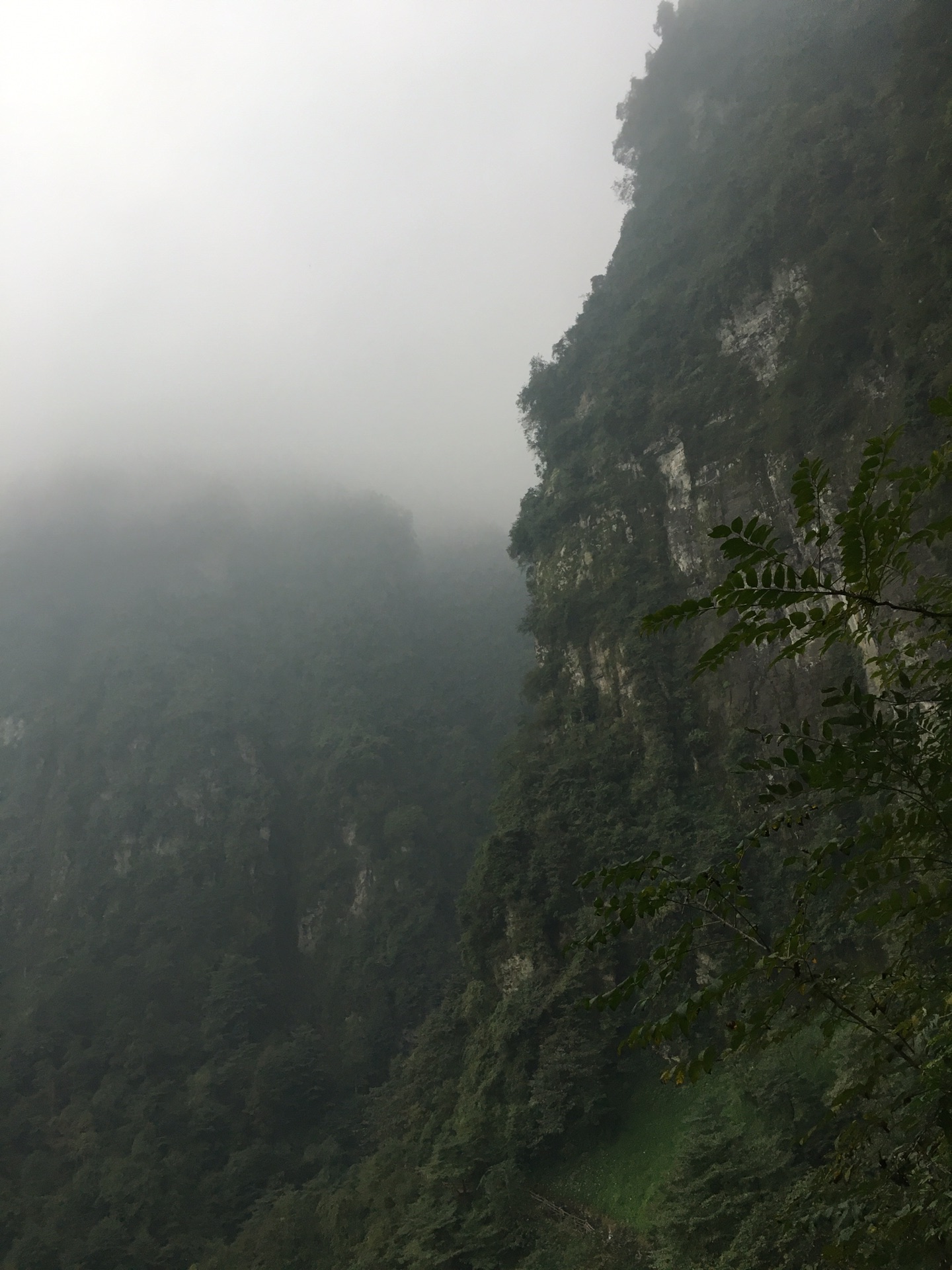 wKgBZ1jpwy6AWMksAAfSjpIXK7091.jpeg?imageView2%2F2%2Fw%2F680%2Fq%2F90%7CimageMogr2%2Fstrip%2Fquality%2F90