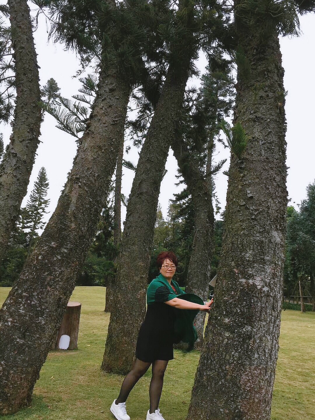 樟树拍婚纱照_樟树叶子图片(3)