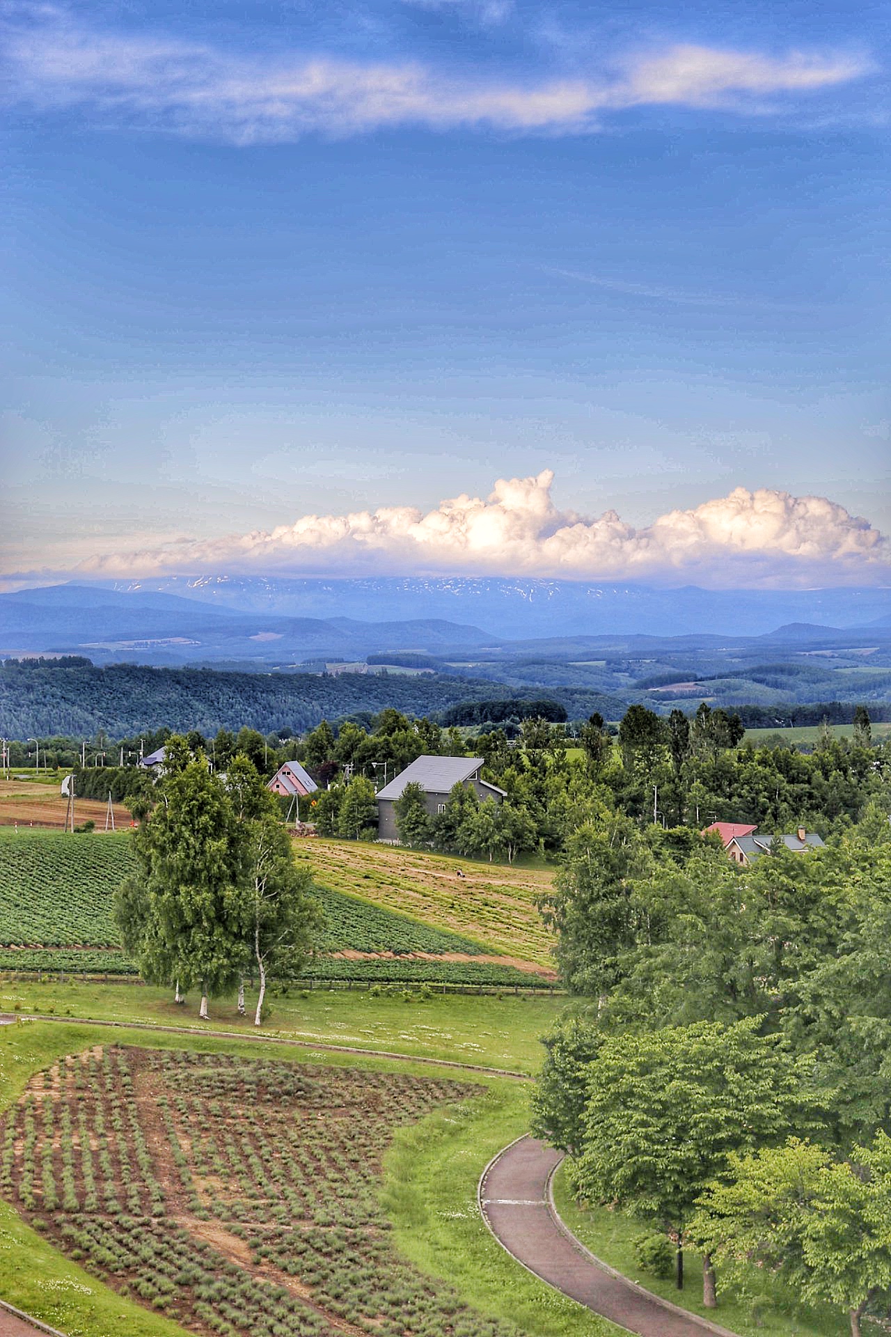 北海道自助遊攻略