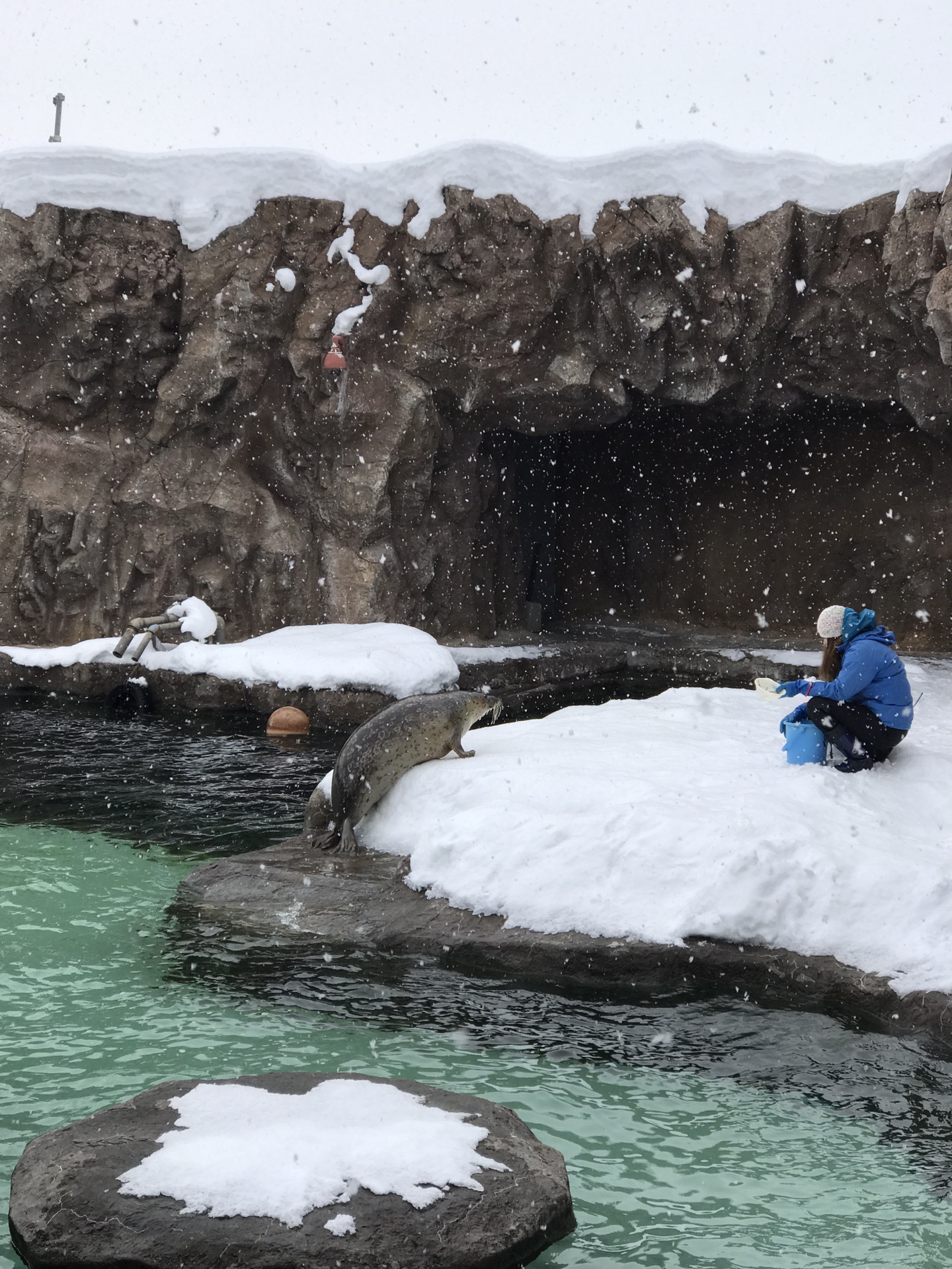 北海道自助遊攻略